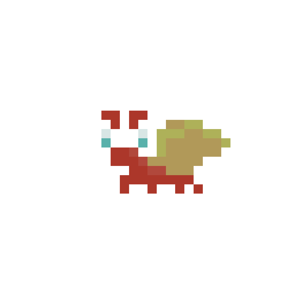 Hermit crab